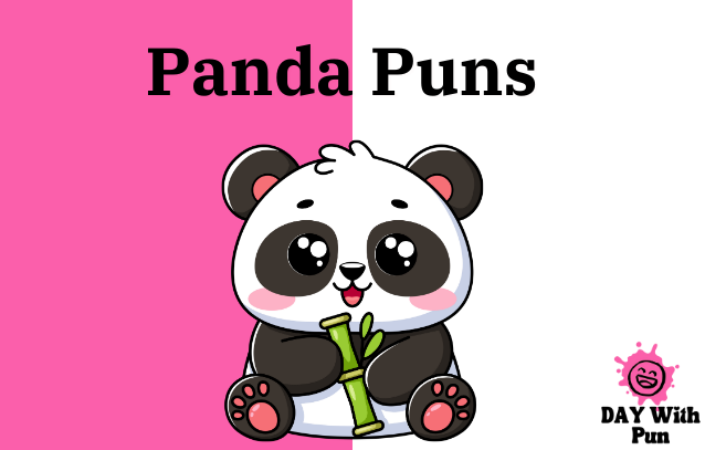 Panda Pun