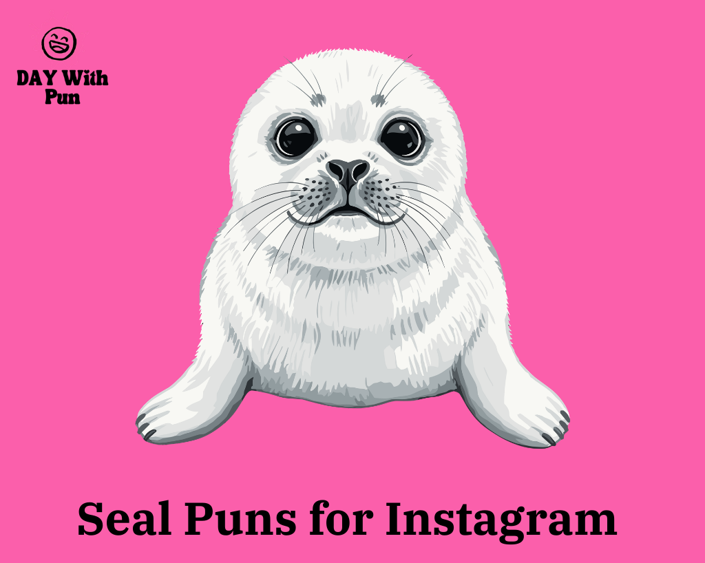 Seal Pun for Instagram