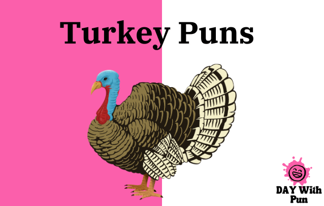 Turkey Pun