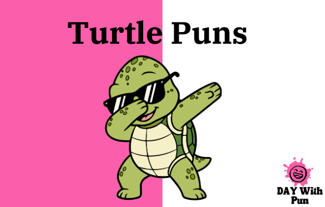 Turtle Pun