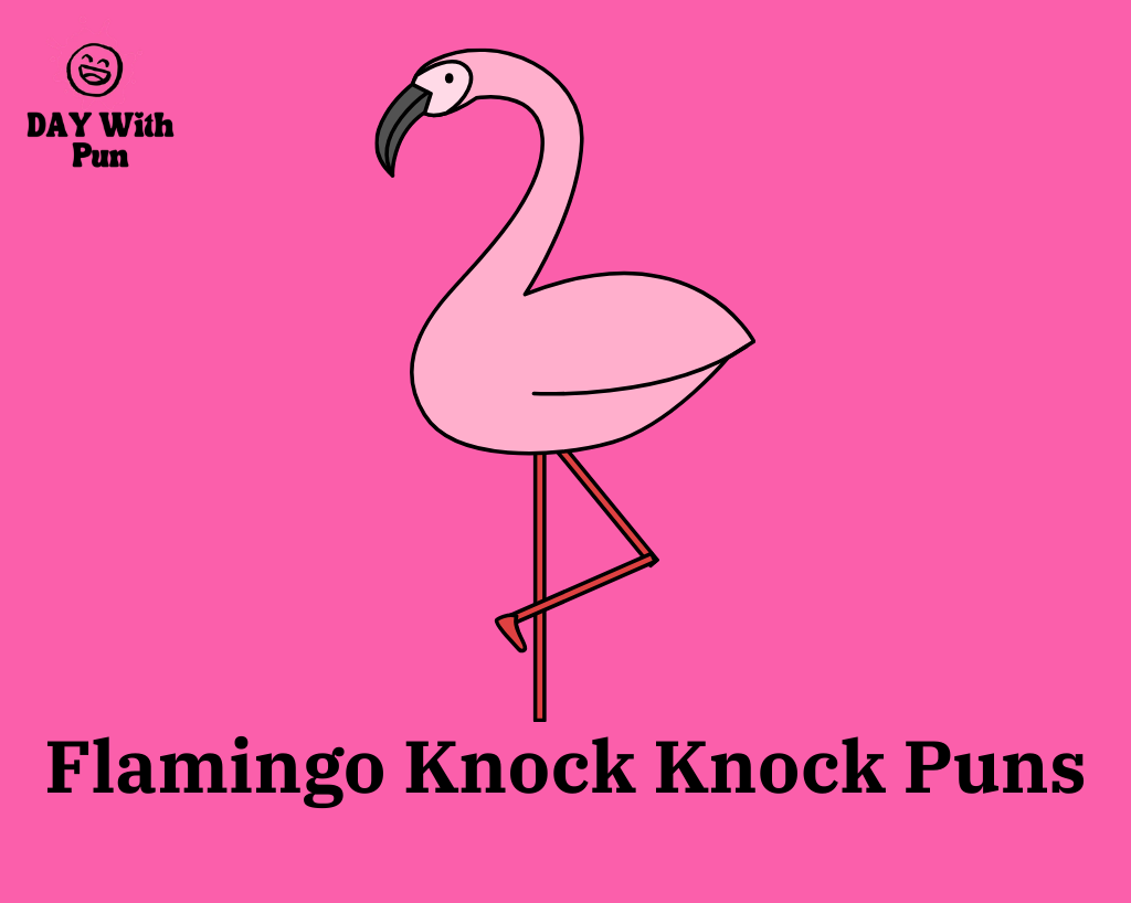 Flamingo Knock Knock Puns