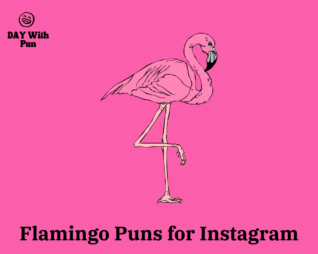 Flamingo Puns about Instagram