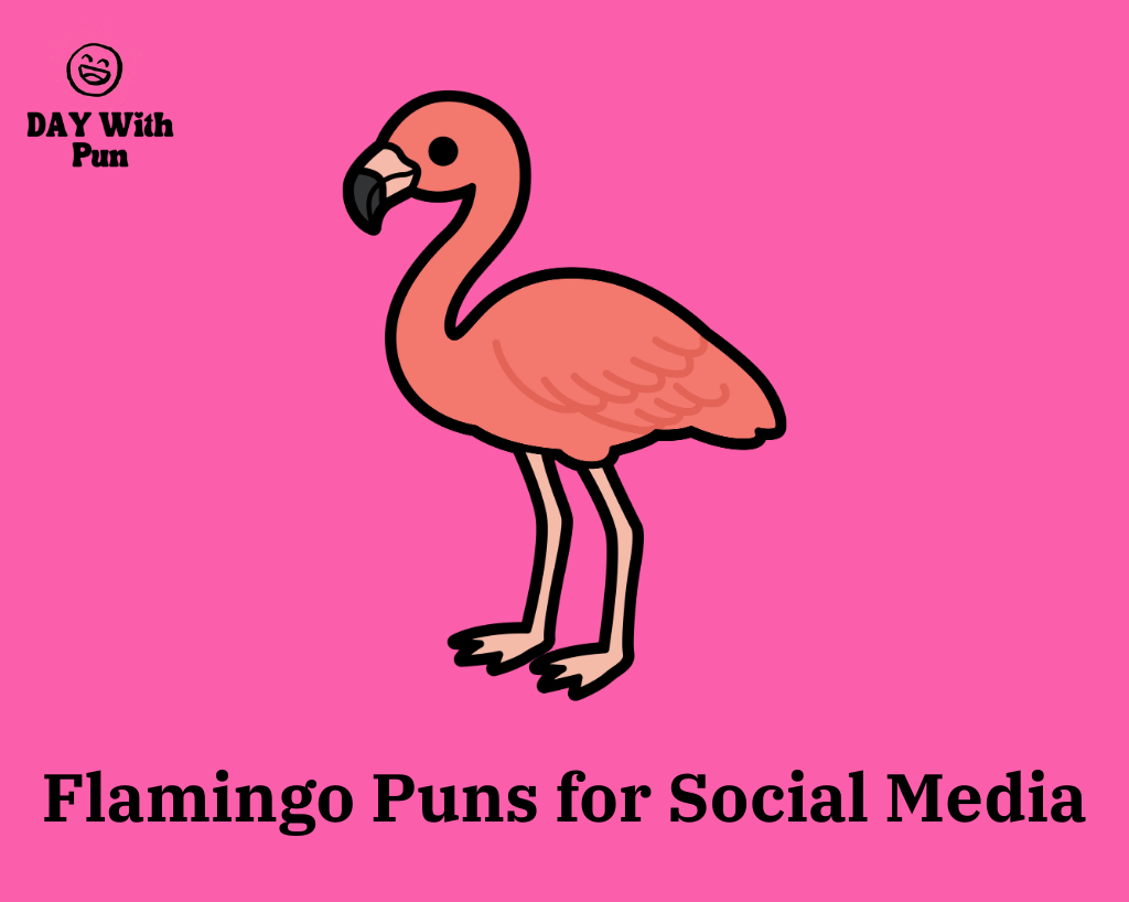 Flamingo Puns about Social Media