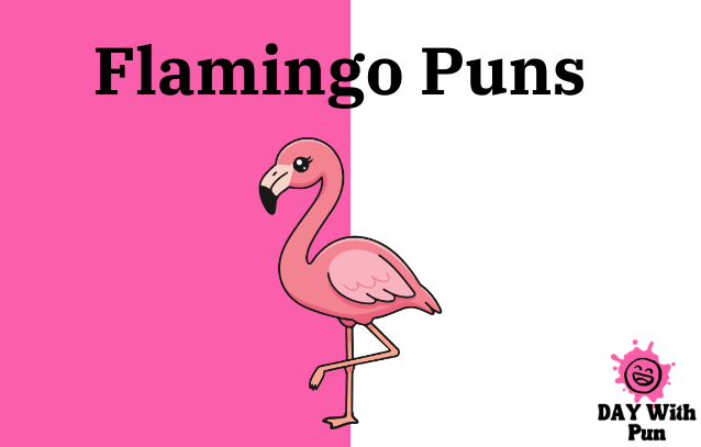 Flamingo Pun