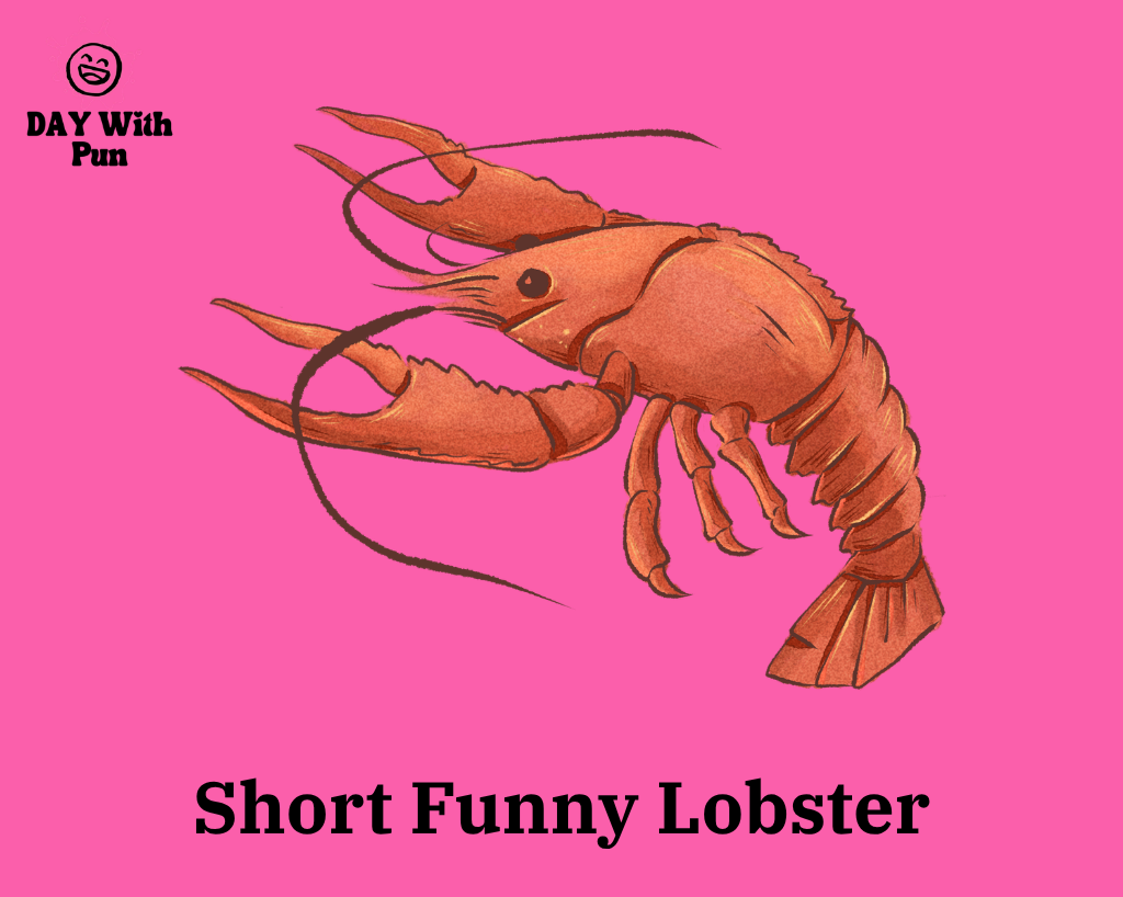 Short Funny Lobster puns