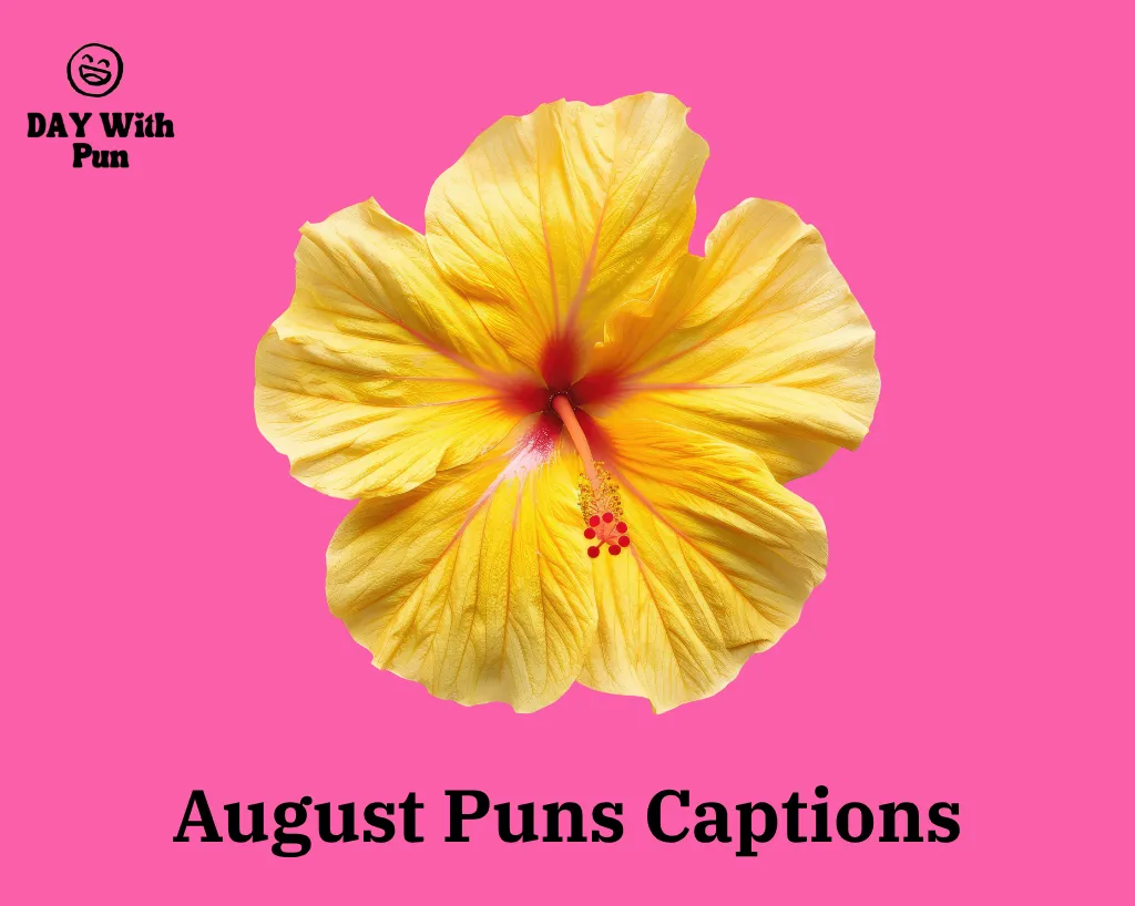 August Puns Captions
