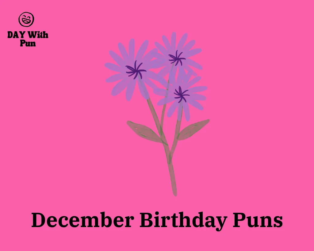 December Birthday Pun