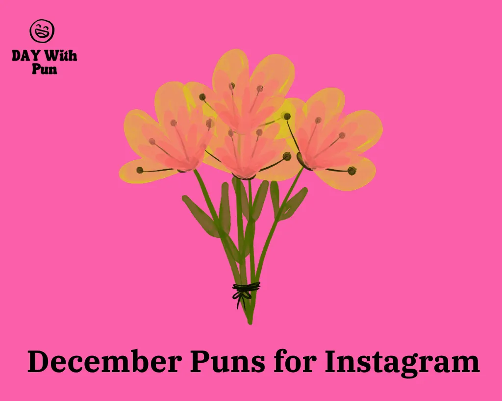 December Puns for Instagram