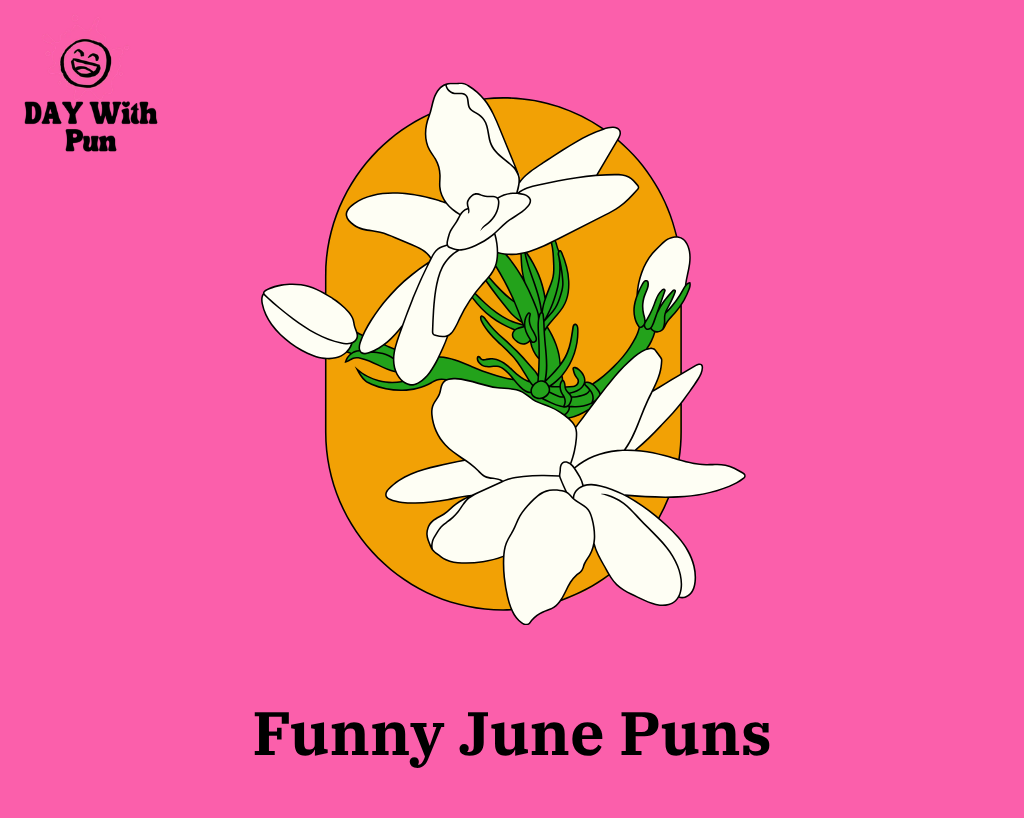 Funny June Pun