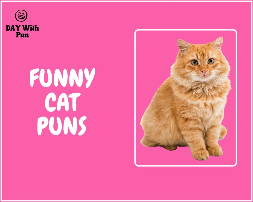 Funny Cat Pun