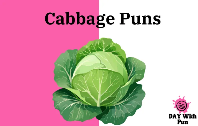 Cabbage Puns