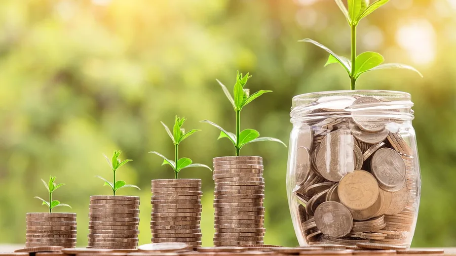 Low Payout Ratios Signal Sustainable Future Growth Over Immediate Yield