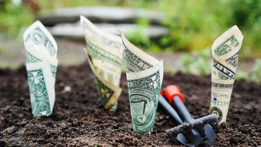A Standalone Health Savings Account Investment Pocket