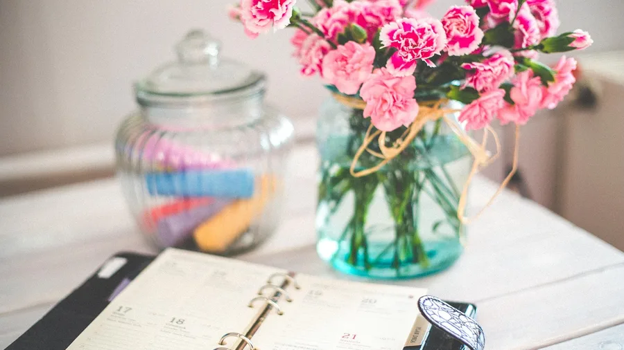 Sinking Funds vs Emergency Funds: Mixing Them Is Why Yours Keeps Failing 2 Emergency funds cover survival while sinking funds cover the calendar