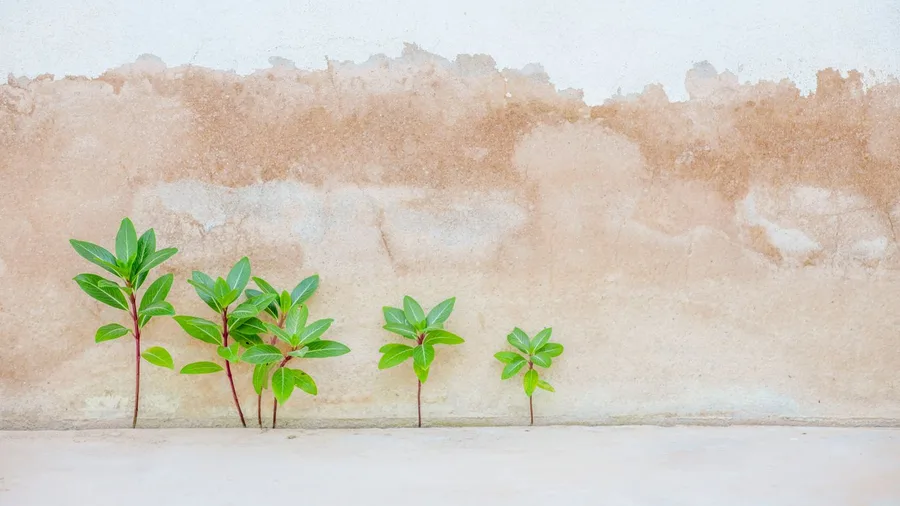 Limited Investment Options May Stall Your Growth