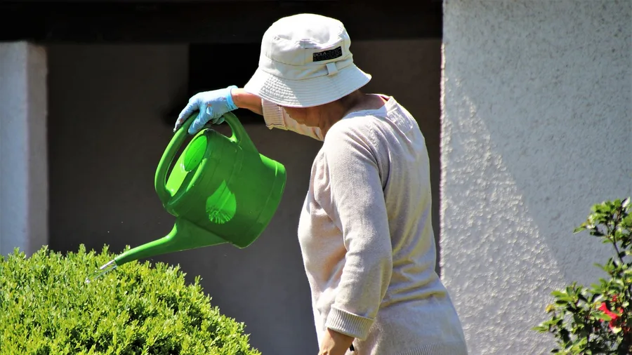 Entering Retirement Activates Required Distributions and Benefit Taxation
