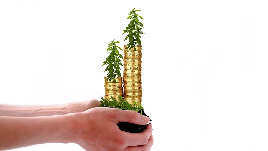 The Wash Sale Rule Catches Investors Who Never Heard of It 4 Automatic Dividend Reinvestments Often Trigger Unintended Violations